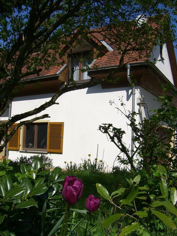 Ferienwohnung Lucia Huber Uhldingen-Muehlhofen Room photo
